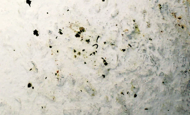 Fettflecken isolieren und absperren Fettflecken isolieren und absperren