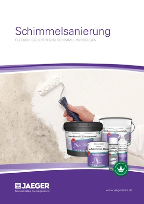 Prospekt Schimmelsanierung 