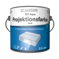 391 Projection paint