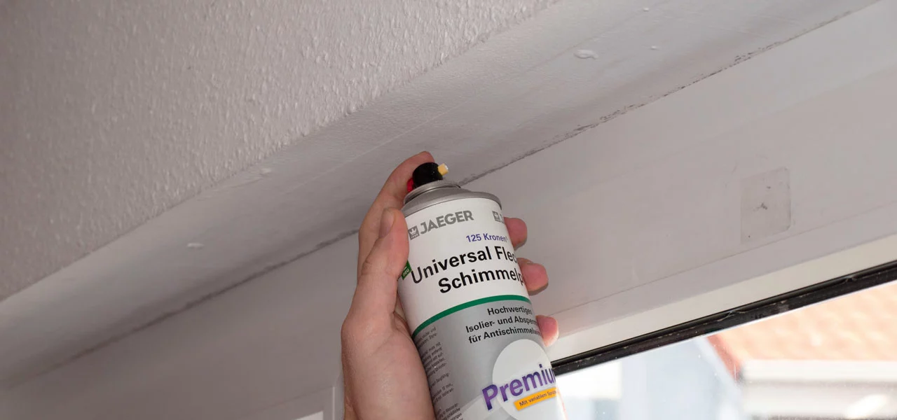 Anti Schimmel Spray, welches an eine Wand gesprüht wird 