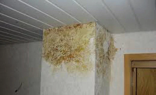 Versottungen isolieren und absperren Versottungen am Kamin isolieren und absperren